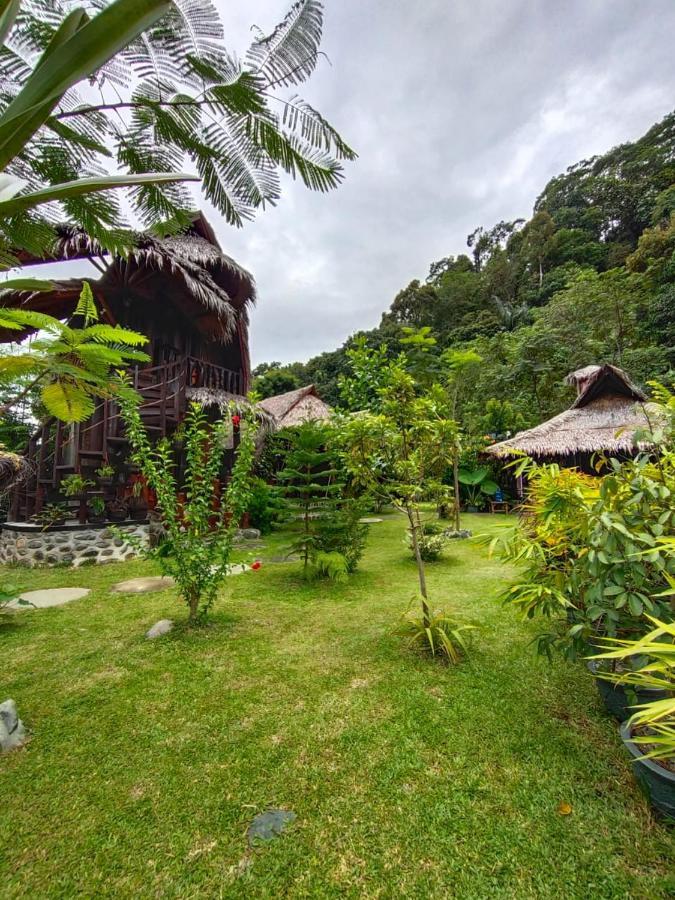 Green Travelodge Bukit Lawang Zewnętrze zdjęcie